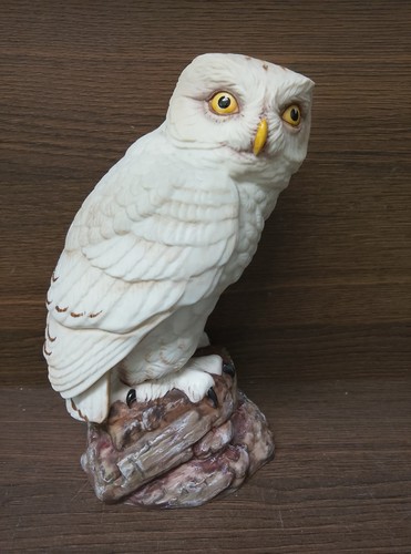 Aynsley owl figure snowy - aynsley,
