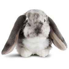 Lop Eared Rabbit Soft Toy