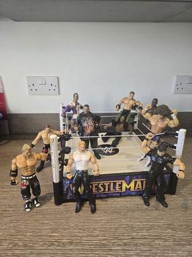 Wwe wrestling figure - wrestling, job
