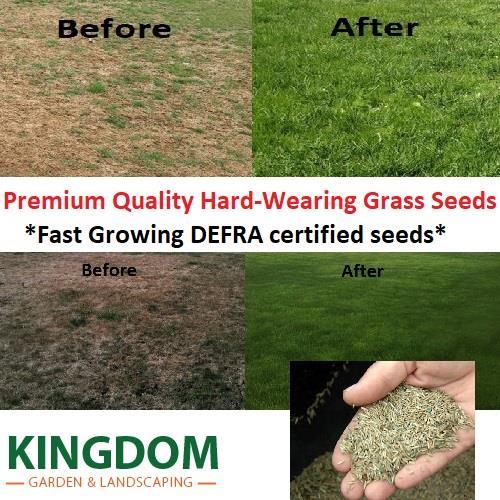 Grass seed hard wearing lawn - grass,