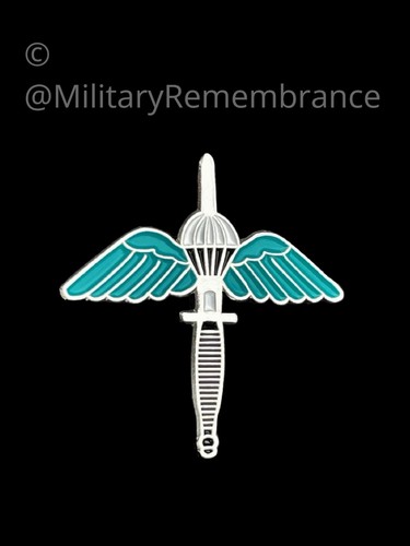 Commando winged dagger lapel - dagger,