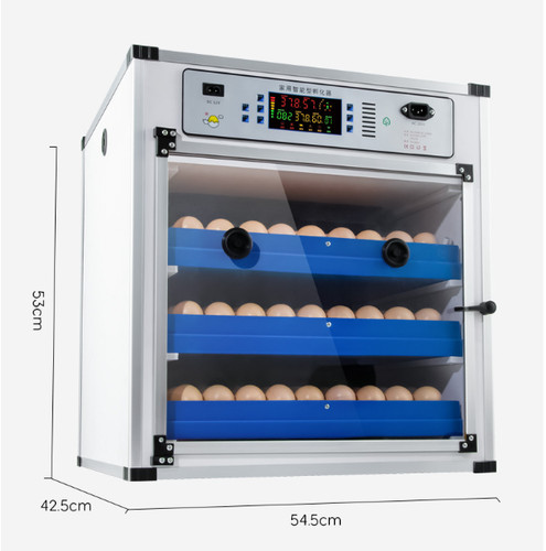 Automatic digital eggs - automatic,