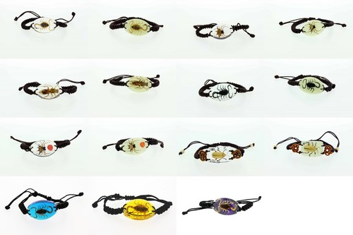 Real insect medium - real, bracelet