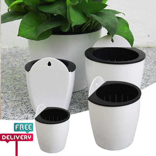 Self watering plant - watering, pot