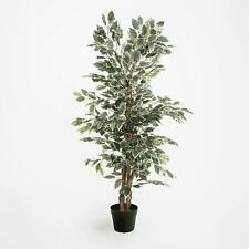 Blooming Artificial DAMAGED 120cm Faux Ficus Tree Variegated Green - Indoor