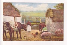 1907 used Raphael Tuck 'Irish