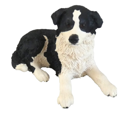 Pups galore border collie - pups,