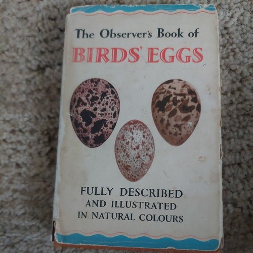 Observers book birds - book,