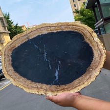 Natural Petrified Wood - Fossilized Wood Slice Crystal Gem Specimen - 9.1LB