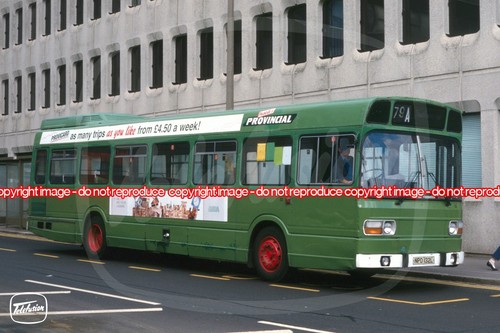 Bus photo provincial npd132l - bus,