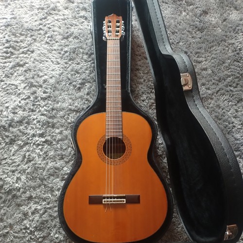 Farida guitar very good - farida,