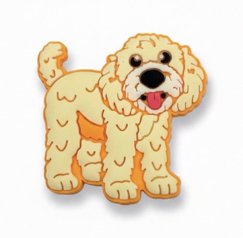 Cockapoo labradoodle dog shoe - labradoodle,