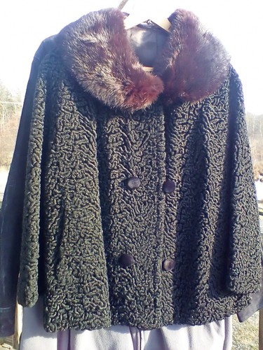 Vintage astrakhan curly sheep - astrakhan,