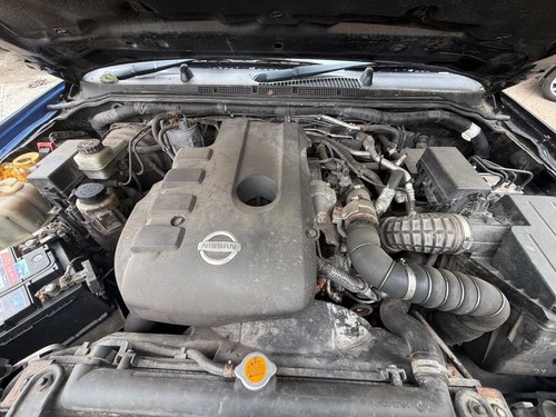 Nissan navara engine diesel - nissan,