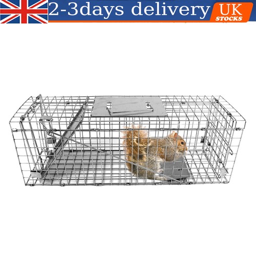 Squirrel trap heavy duty - trap,