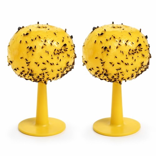Sticky fruit fly ball trap - sticky,