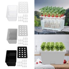 Hydroponic Growing System Kit