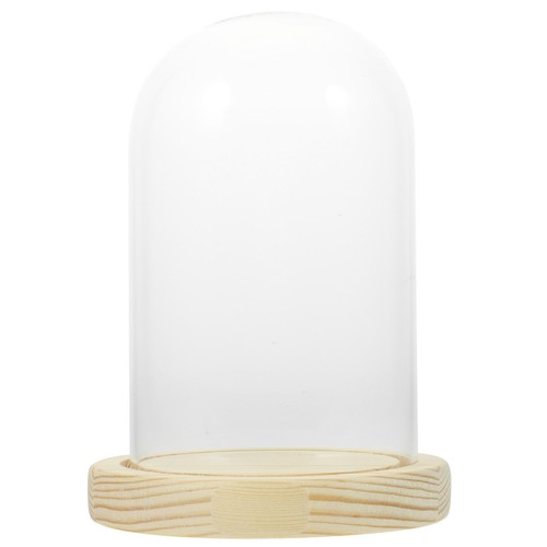 Glass dome with - with, wood