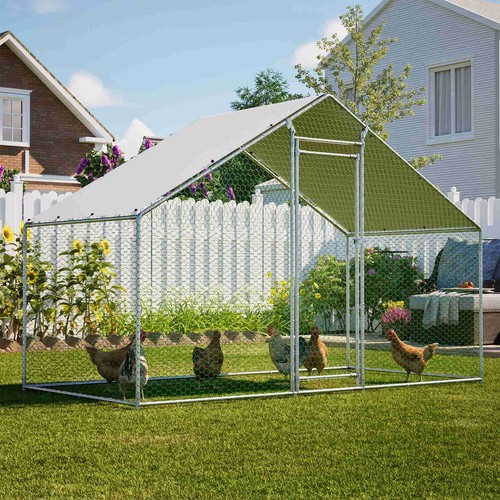 Chicken run cage walk - run, pet