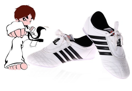 Taekwondo training shoe - taekwondo, kung