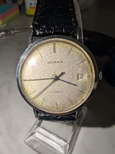 Juvenia mens automatic - juvenia,