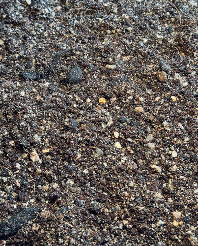 Bonsai soil mix - soil,
