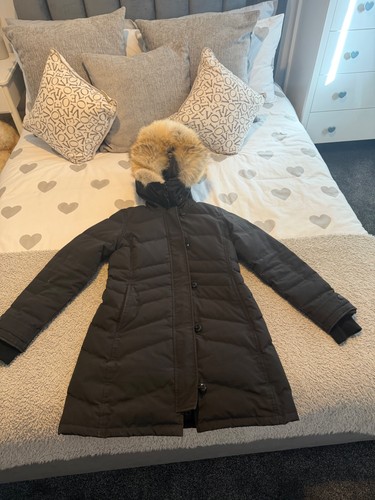 Canada goose lorette - goose,