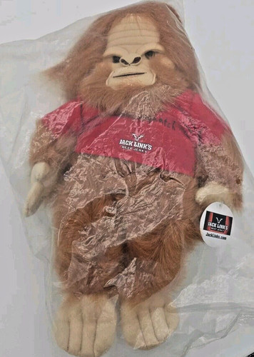 Jack links beef jerky - jack,