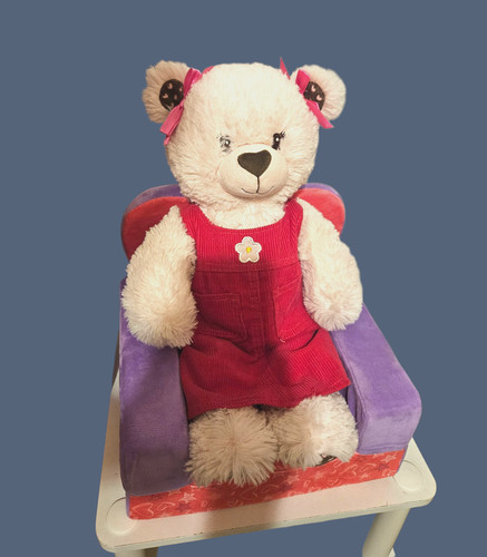 Build bear workshop pink - build,