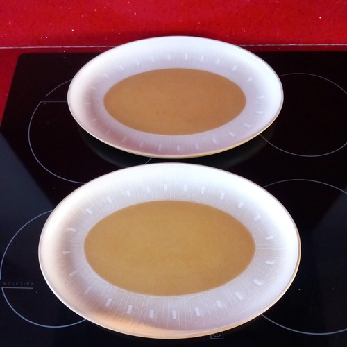 Pair denby ode oval steak - pair,