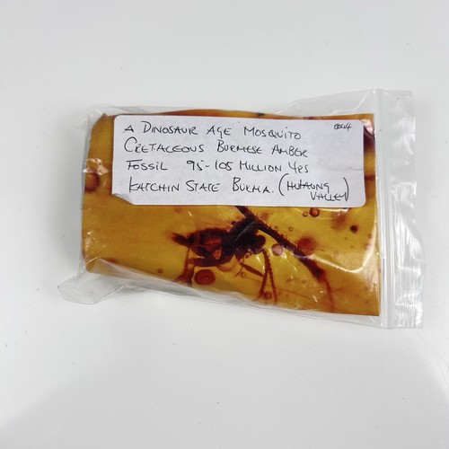 Cretaceous burmese genuine - cretaceous,