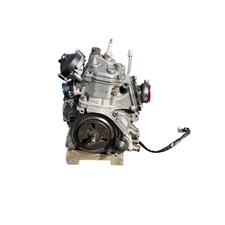 Senior Rotax Max Evo Karting