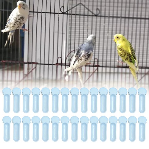 Bird feeder easy clean - bird,