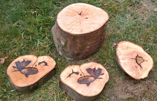 Natural wood slices