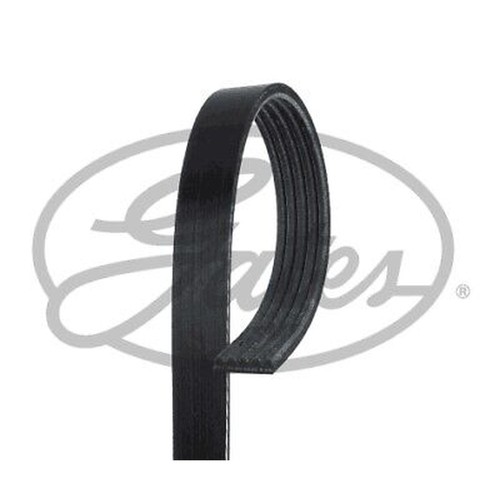 5pk820 gates ribbed - v-ribbed, for