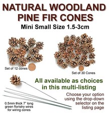 Mini Small Real Pine Fir Cones