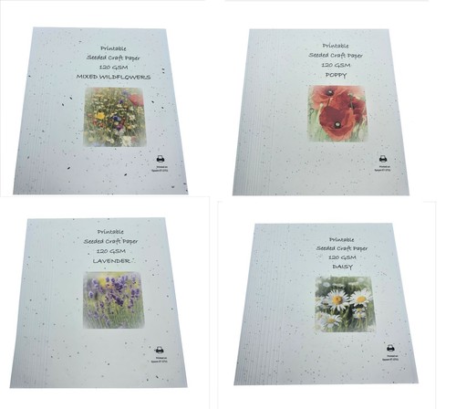 Seeded printer paper - paper, sheets
