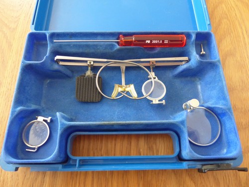 Champion shooting glasses - shooting,