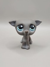 2006  Littlest Pet Shop LPS #319 Whippet Dog Grey Green Teal Eyes