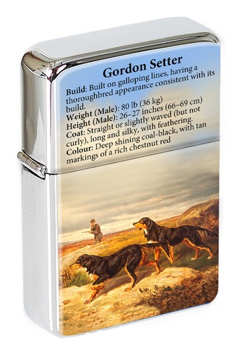 Gordon setter flip top - gordon,
