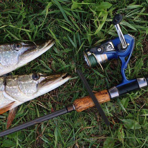 Fishing rod repair - rod, carbon