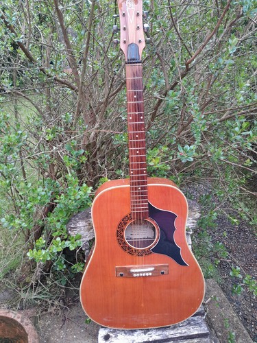 Eko vintage acoustic - vintage, western