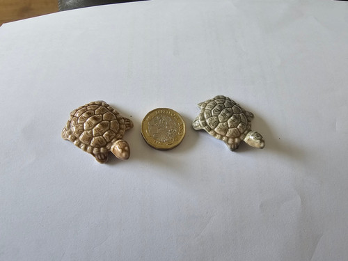 Wade tortoise turtles - wade, tortoise,