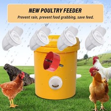 Automatic Gravity Chicken Feeder DIY Rainproof Poultry Feed Port No Spill Design