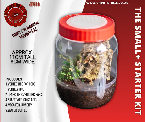 Enclosure spiderling tarantula - spiderling,
