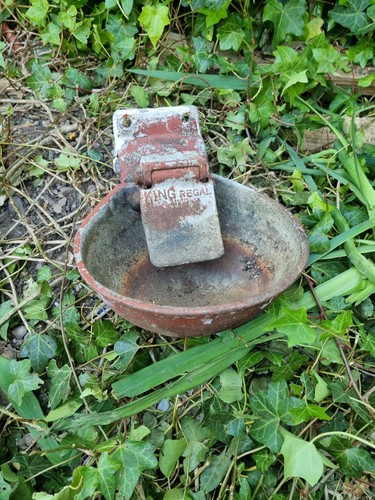 Cast iron water bowl cattle - bowl,
