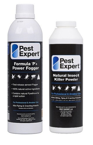Flea bomb killer - bomb,