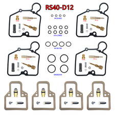 RS40 RS40-D12 Carburetor