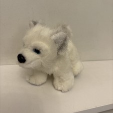 Lapland White Husky Wolf