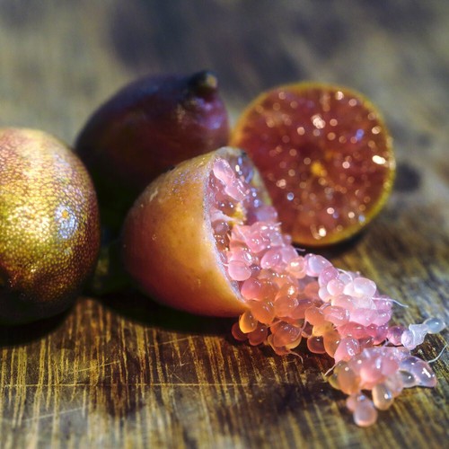 Lime caviar - caviar,